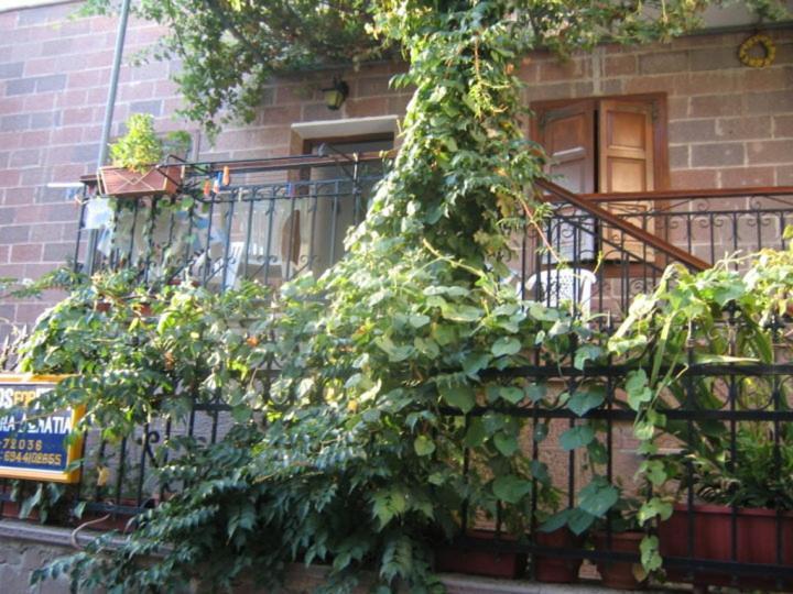 Μαχη Ενοικιαζόμενα Δωμάτια Mithymna Exteriör bild